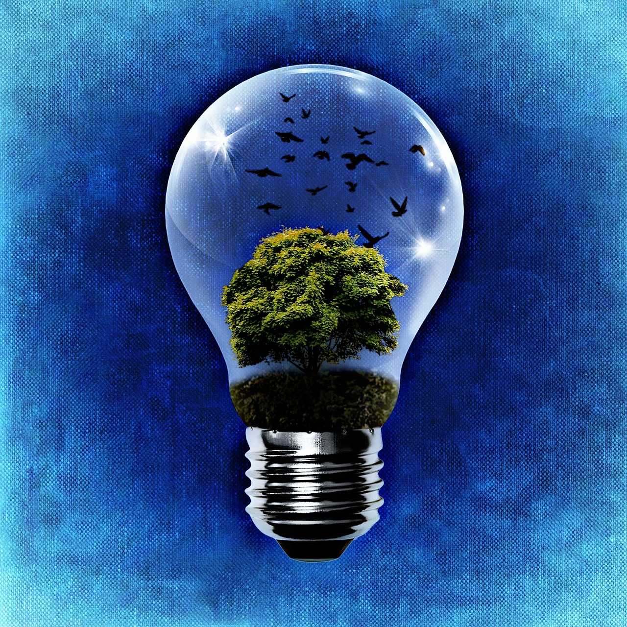 environment-1392332_1280