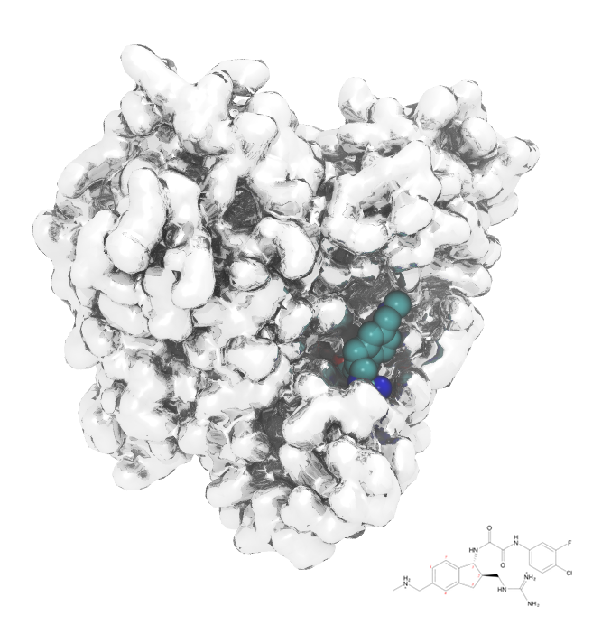 HIV-1 Fusion Machinery and its Antagonism