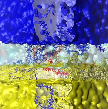 Thermoset Materials