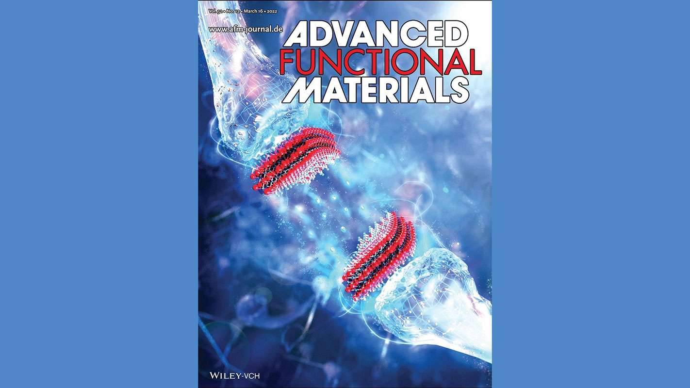 Armin VahidMohammadi Designs Cover Art for Advanced Functional Materials Issue