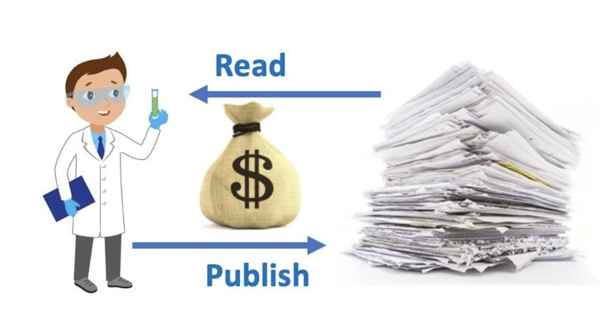 Pay to publish? Open access publishing from the viewpoint of a scientist and editor