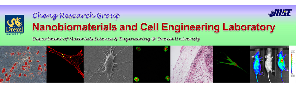 Hao Cheng Research Group – Drexel University